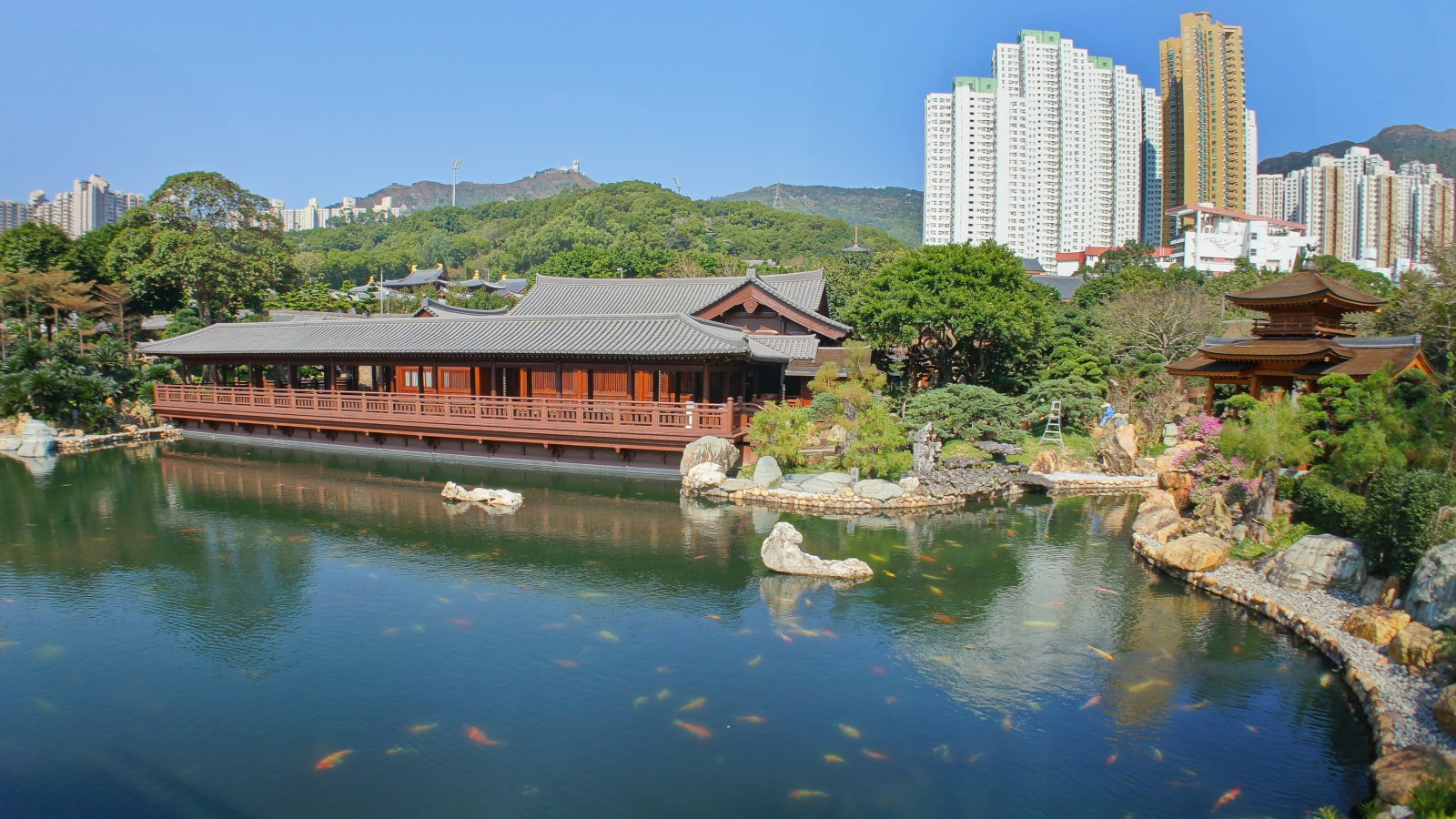 Hong Kong: Nan Lian Garden - 60 Fung Tak Rd | Secret World Trip Planner