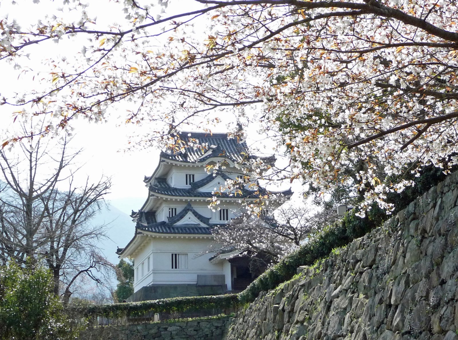 Château d'Uwajima : un des 12 châteaux de la période Edo - Uwajima | Secret World Trip Planner