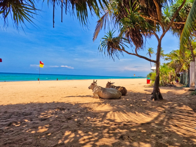 Пляж Нилавели - Nilaveli Beach | Secret World Trip Planner