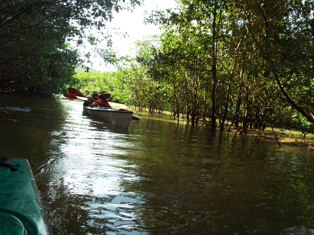 Isla Corazon Mangrove Reserve - Bahia de Caraquez | Secret World Trip Planner