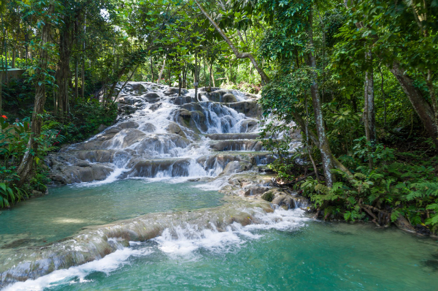 Quedas do Rio Dunn - Ocho Rios | Secret World Trip Planner