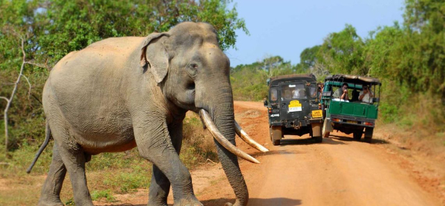 Parque Nacional de Wilpattu | Secret World Trip Planner