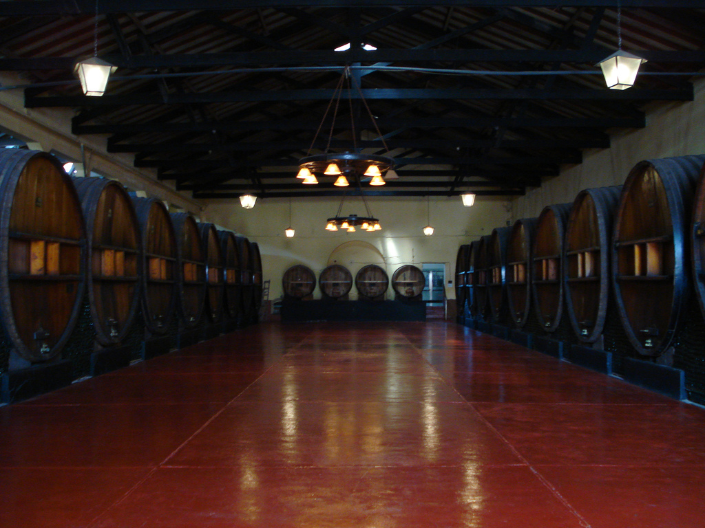 Découvrez l'Expérience du Vin à Mendoza, Argentine - Rivadavia 234 | Secret World Trip Planner