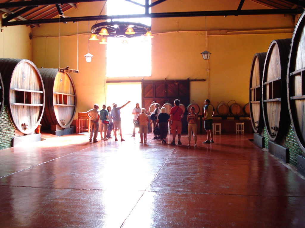 Descubra a Experiência do Vinho em Mendoza, Argentina - Rivadavia 234 | Secret World Trip Planner