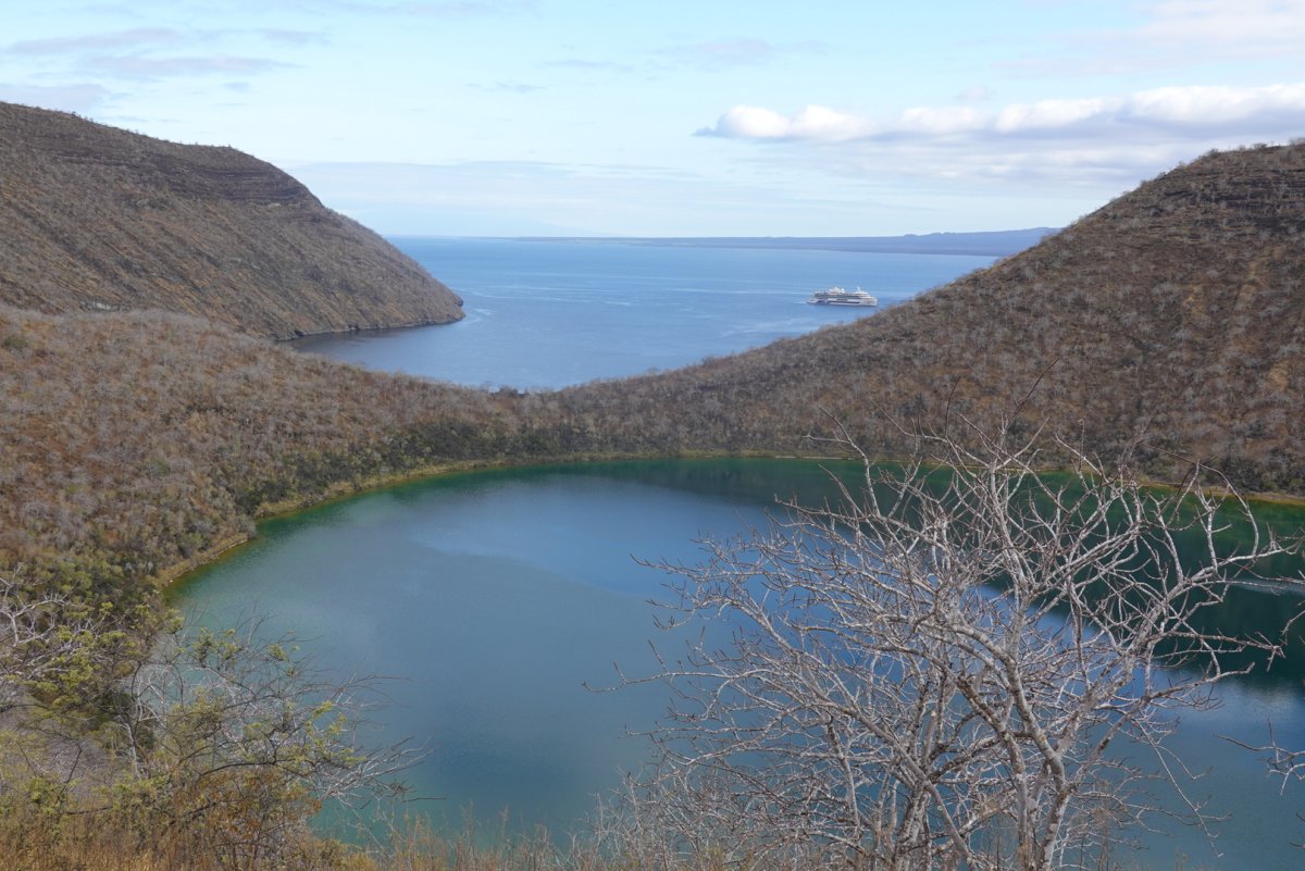 Descubriendo las Islas Galápagos: Un Paraíso de Biodiversidad - Galápagos | Secret World Trip Planner