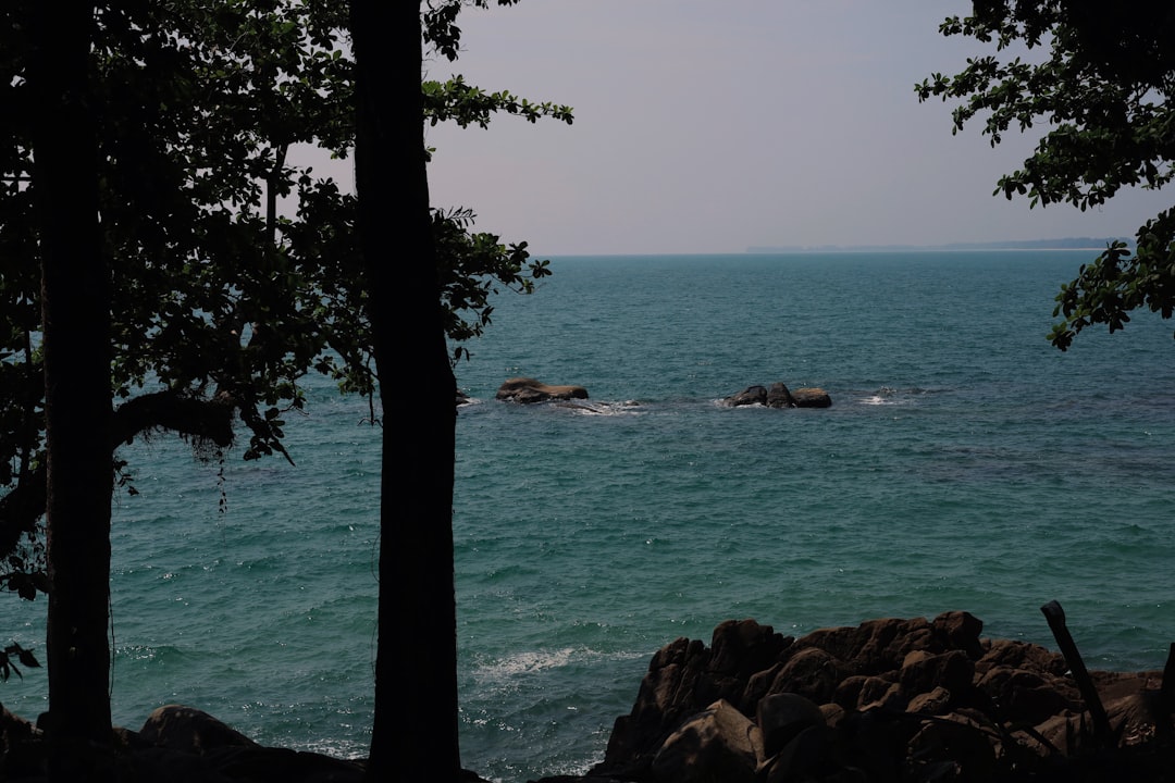 Откройте для себя острова Пхукета: природа и ночная жизнь - Distretto di Mueang Phuket | Secret World Trip Planner
