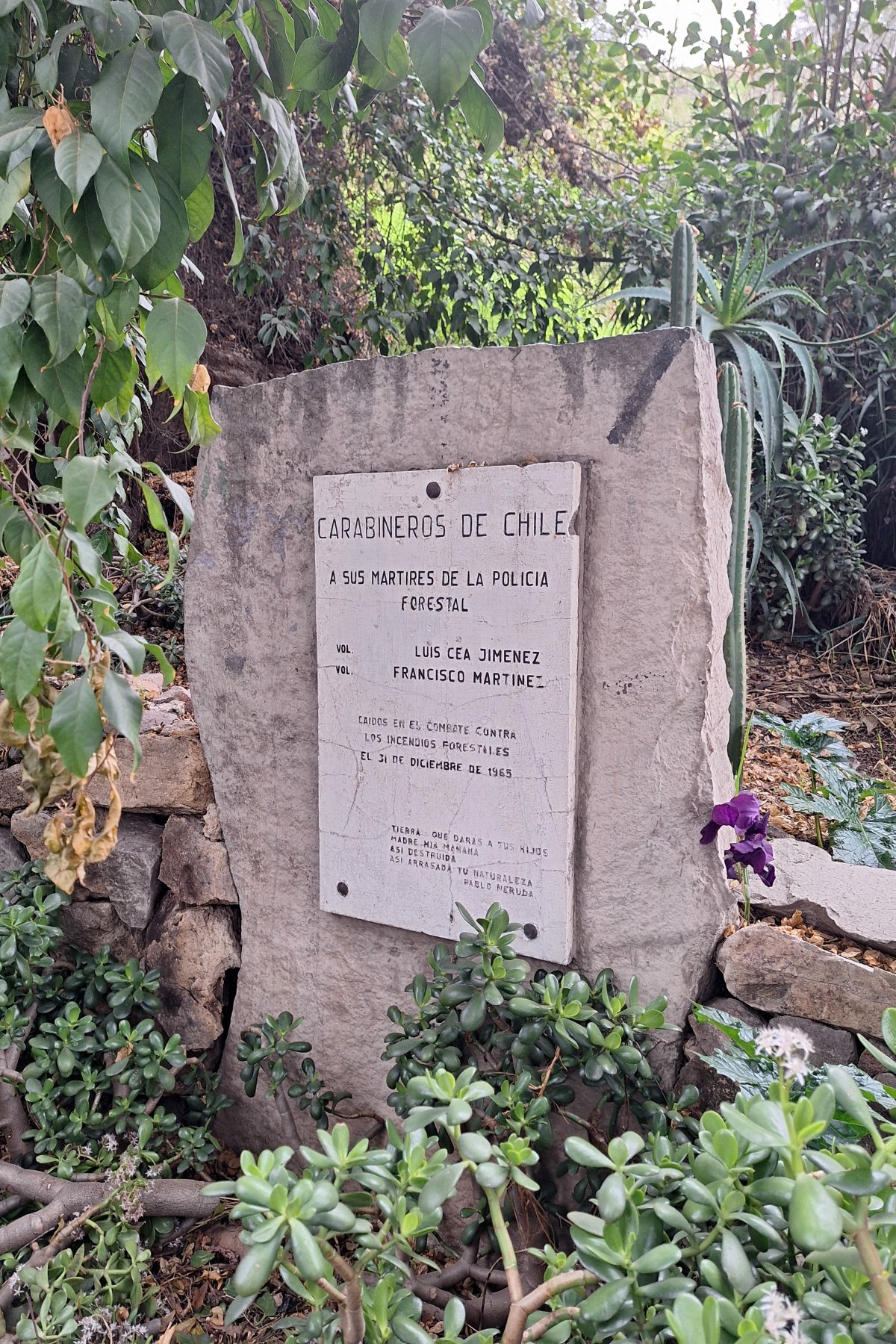 Cerro Blanco: Discover Chile's Hidden Trails - Recoleta | Secret World Trip Planner