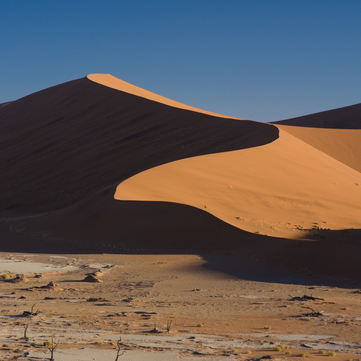 Découvrir le Désert du Namib : Dunes et Silence | Secret World Trip Planner