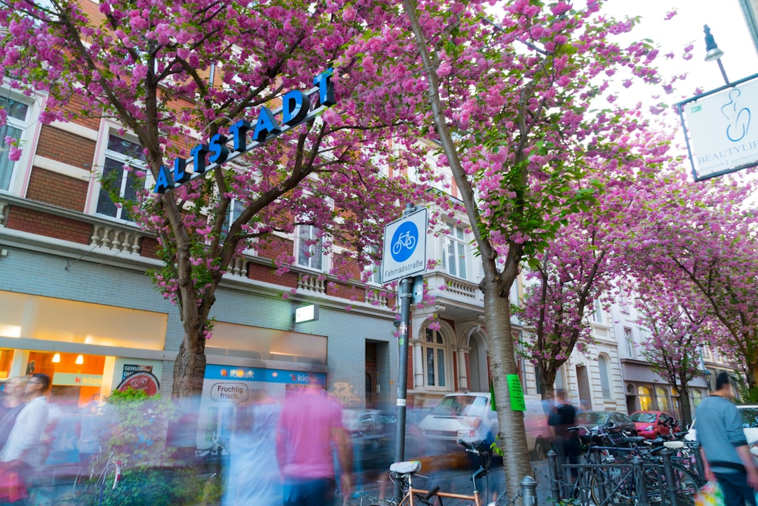 Wanderlog Alternatives for Bonn 2026: Discover Secret World - Bonn | Secret World Trip Planner