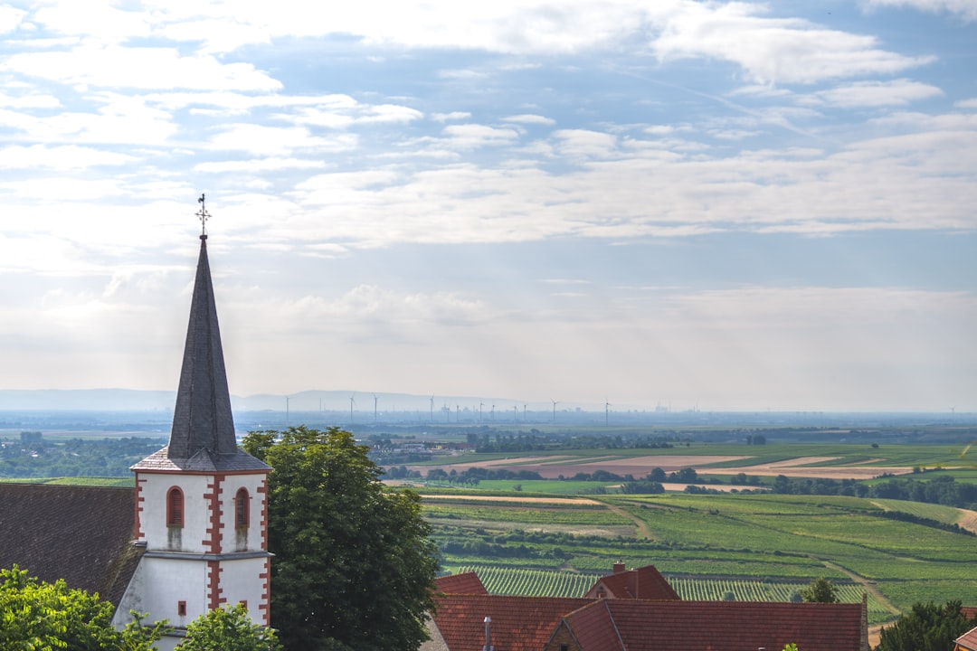 What to See in Mannheim 2026: Must-Visit Places Guide - Mannheim | Secret World Trip Planner