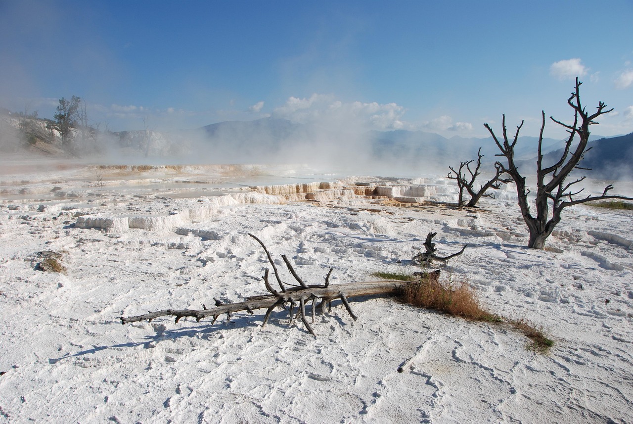 AI Trip Planner Yellowstone 2026: Rivoluziona i Tuoi Viaggi - Yellowstone | Secret World Trip Planner