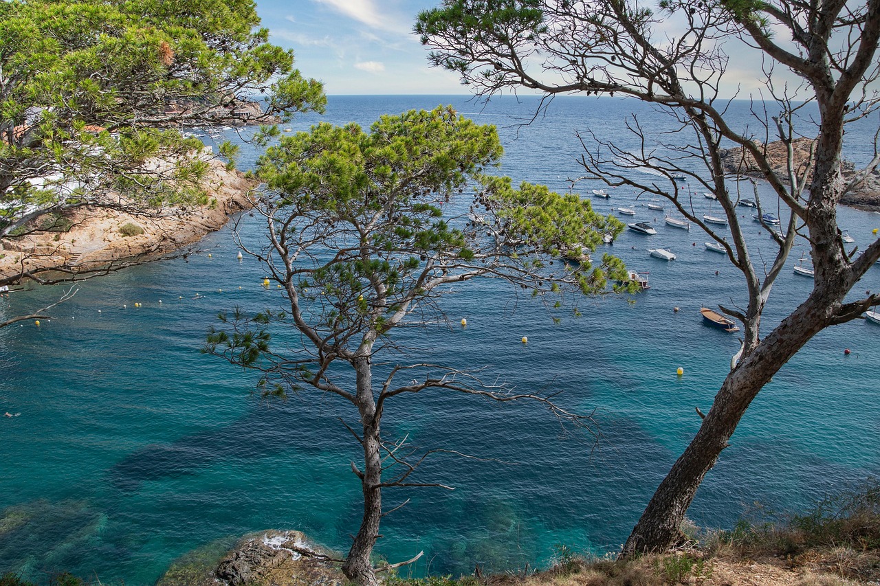 Migliori app viaggio Costa Brava 2026: la guida definitiva - Costa Brava | Secret World Trip Planner