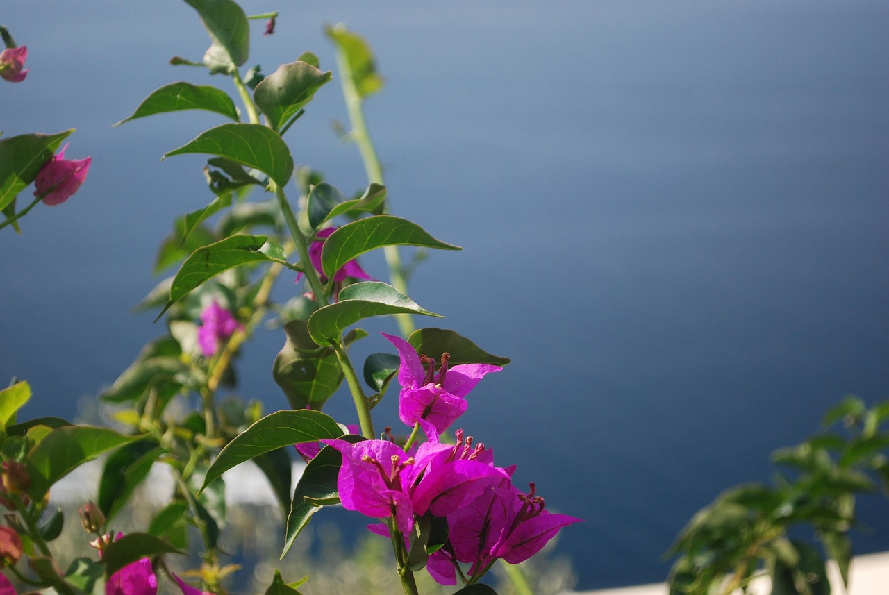 Itinerario perfetto Positano con AI: Guida 2026 - Positano | Secret World Trip Planner