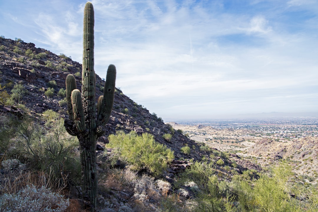 Top AI Travel Apps in Phoenix 2026: Comparison and Best Choice - Phoenix | Secret World Trip Planner