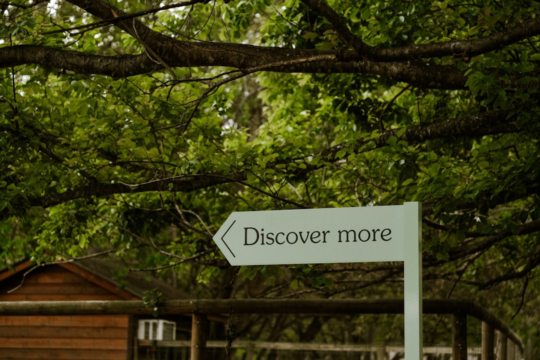 Best AI Trip Planner in Nottingham 2026: Discover Secret World - Nottingham | Secret World Trip Planner