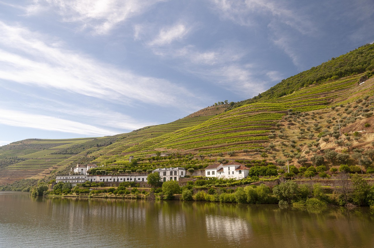 Fim de semana no Vale do Douro com Secret World: guia ideal - Douro Valley | Secret World Trip Planner
