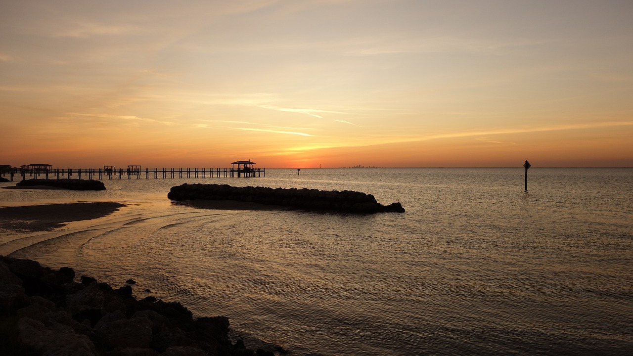 What to See in Tampa 2026: Must-See Guide with Secret World - Tampa | Secret World Trip Planner