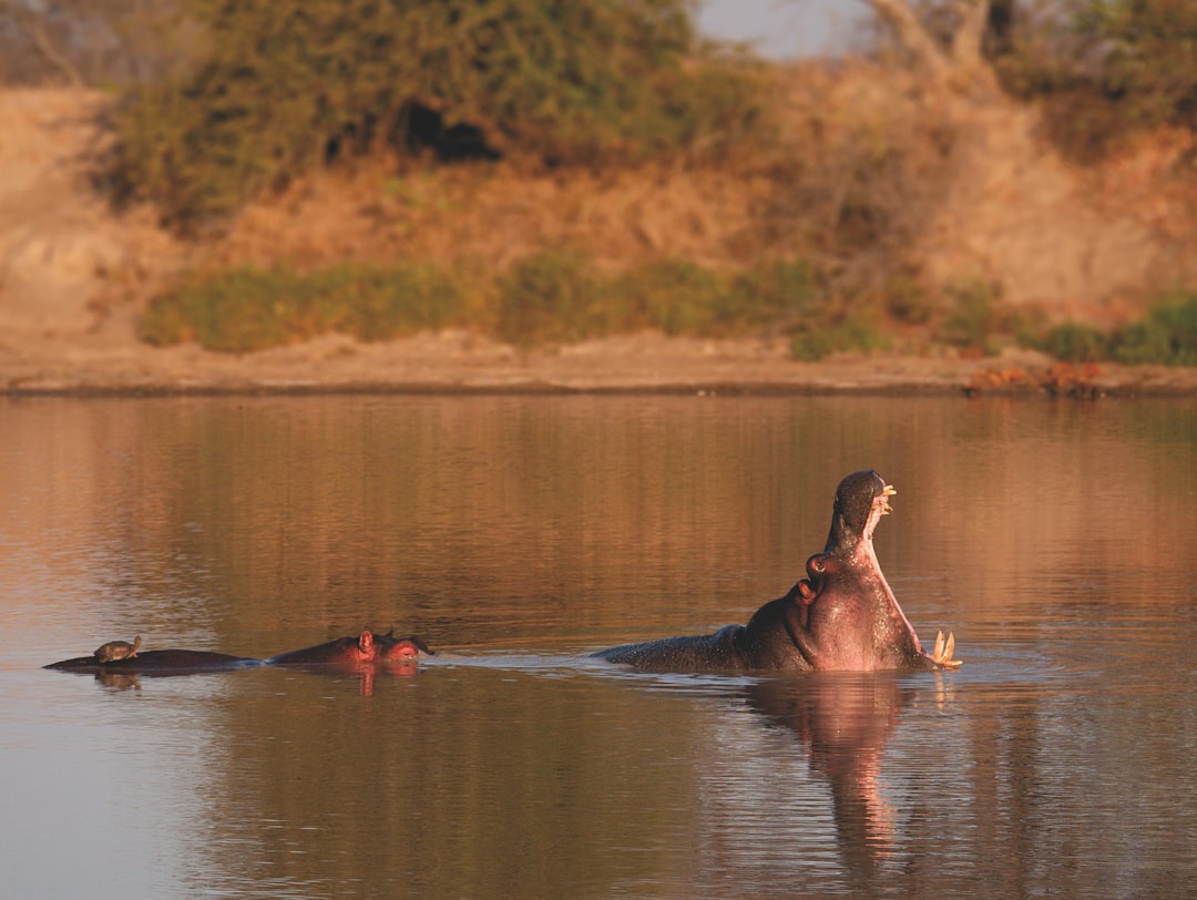 How to Visit Kruger Park with Secret World in 2026 - Kruger Park | Secret World Trip Planner