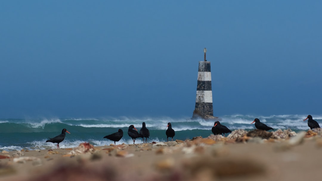 Secret World vs TripIt a Port Elizabeth: chi vince nel 2026? - Port Elizabeth | Secret World Trip Planner