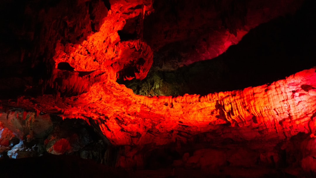 As Mágicas Grutas de Waitomo: Luz e Sombra - 39 Waitomo Village Road | Secret World Trip Planner