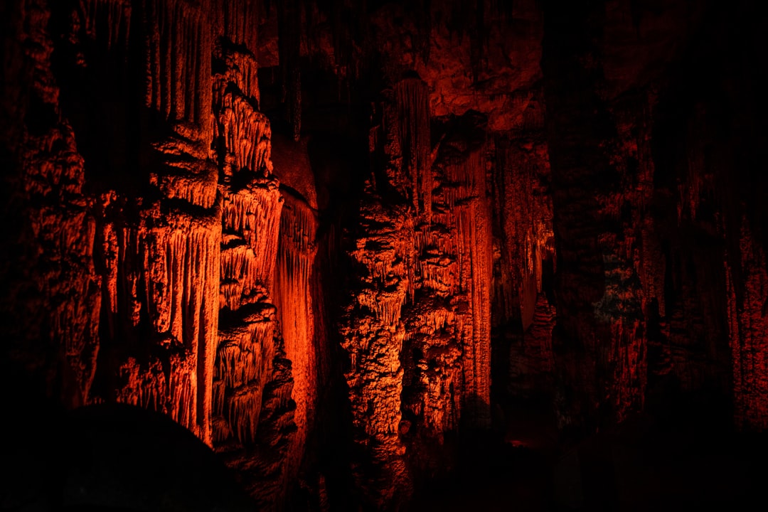 웨이토모의 마법 동굴: 빛과 그림자의 게임 - 39 Waitomo Village Road | Secret World Trip Planner