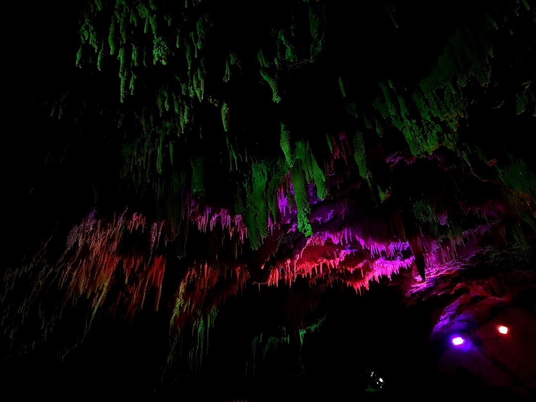 怀托摩的魔幻洞穴:光与影的奇妙游戏 - 39 Waitomo Village Road | Secret World Trip Planner