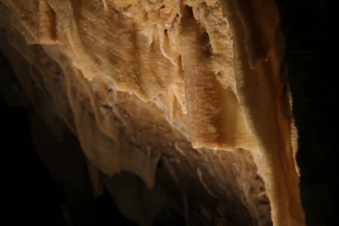 Descubra as Grutas de Postojna: Uma Viagem Inesquecível - Jamska cesta 30 | Secret World Trip Planner