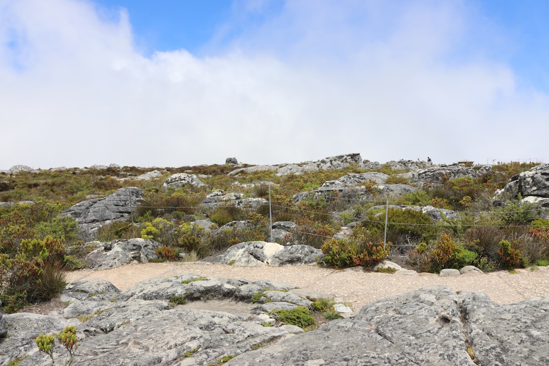 Maclear's Beacon: El Ícono de Ciudad del Cabo - Table Mountain (Nature Reserve) | Secret World Trip Planner