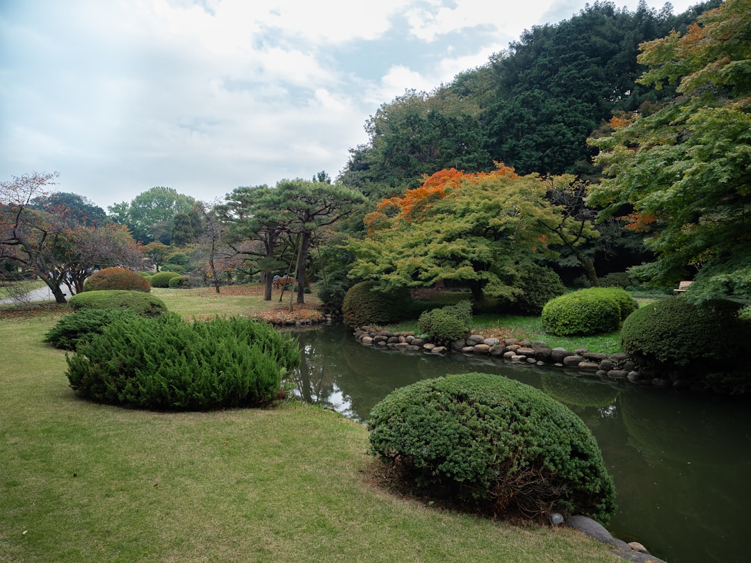Exploring the Shinjuku Gyoen National Garden - Shinjuku City | Secret World Trip Planner