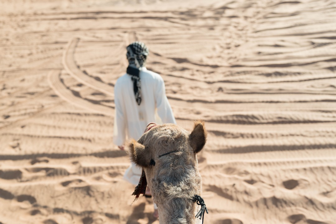 Reise nach Dubai: Tipps und Routen für 2026 - Dubai | Secret World Trip Planner