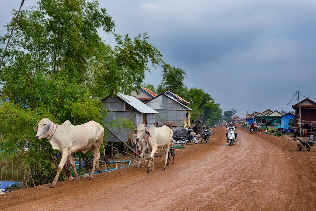 Discover Landmap: A Unique Experience in Cambodia | Secret World Trip Planner