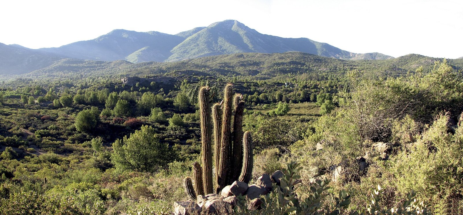 Cerro El Roble: Ein Naturparadies in Chile | Secret World Trip Planner