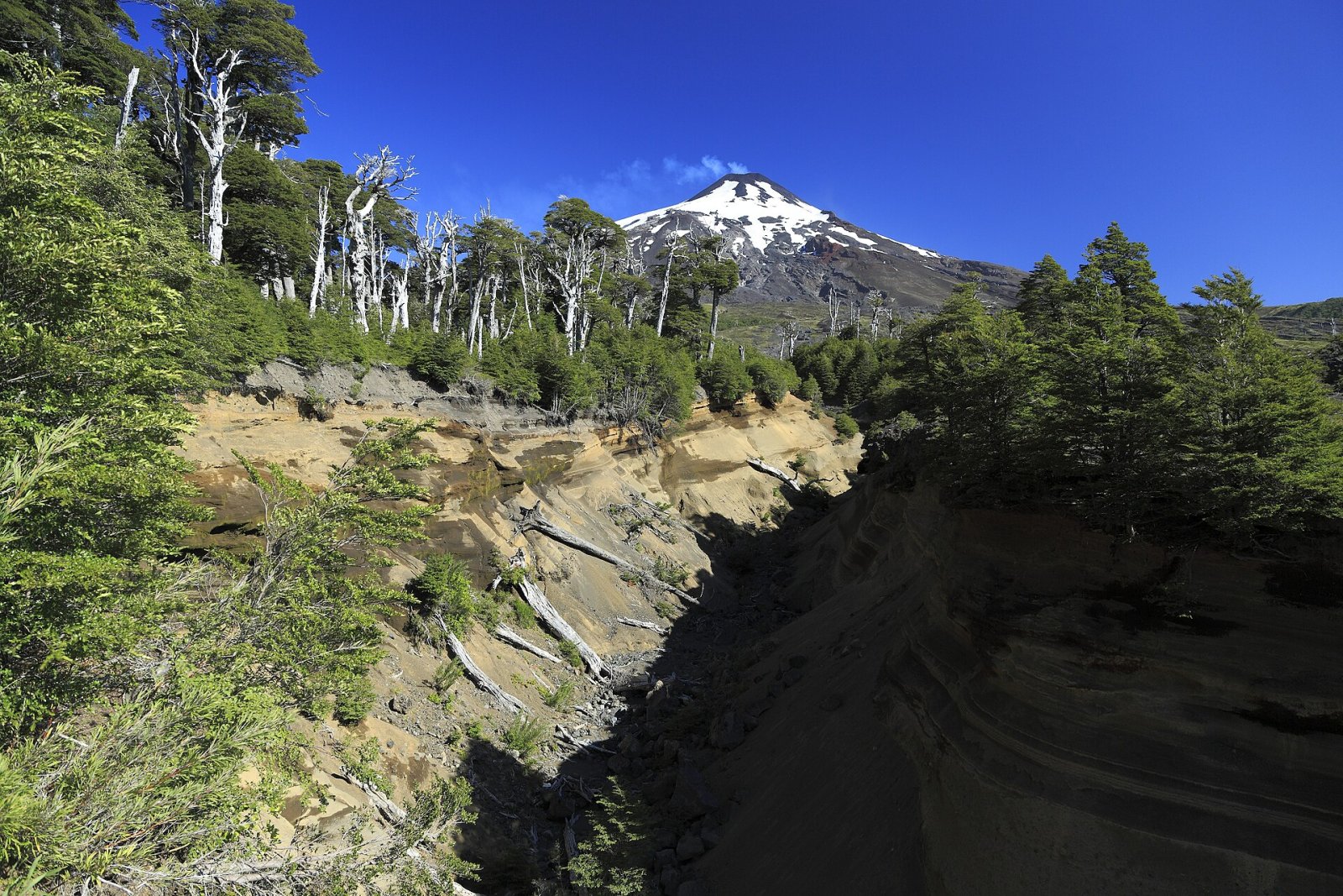 探索智利维拉里卡火山洞穴的迷人之处 - Refugio Villarrica | Secret World Trip Planner