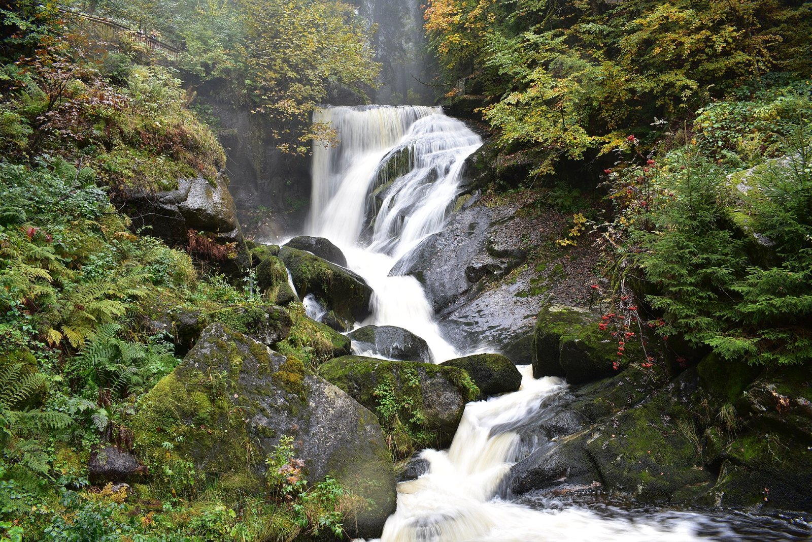 Узнайте о впечатляющих водопадах Трибера в Германии - Schonach im Schwarzwald | Secret World Trip Planner