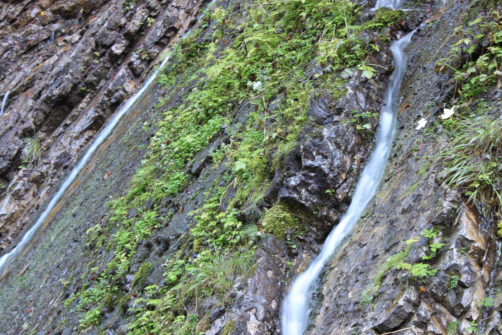 发现维姆巴赫峡谷：巴伐利亚的自然瑰宝 - Ramsau bei Berchtesgaden | Secret World Trip Planner