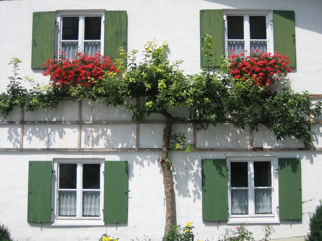 Entdecken Sie Murnau am Staffelsee: ein Juwel in Bayern - Murnau am Staffelsee | Secret World Trip Planner