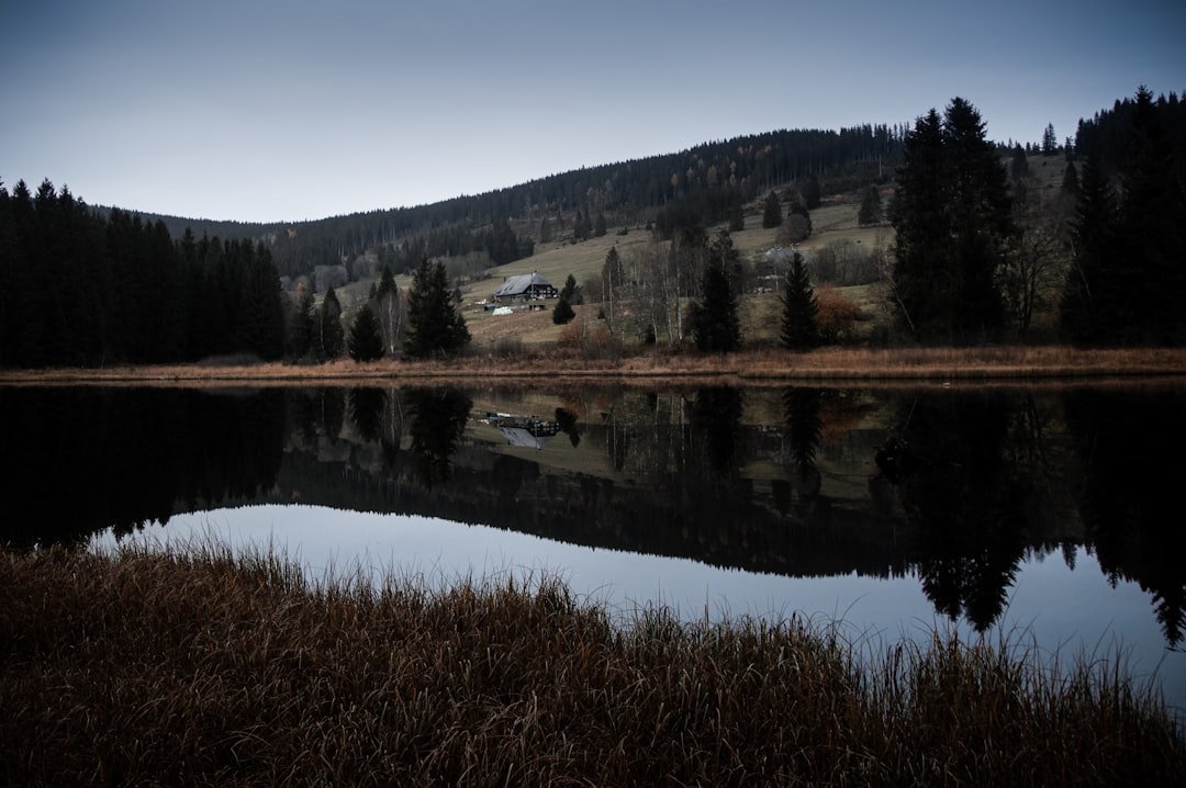 探索施卢赫湖：黑森林的瑰宝 - Schluchsee | Secret World Trip Planner
