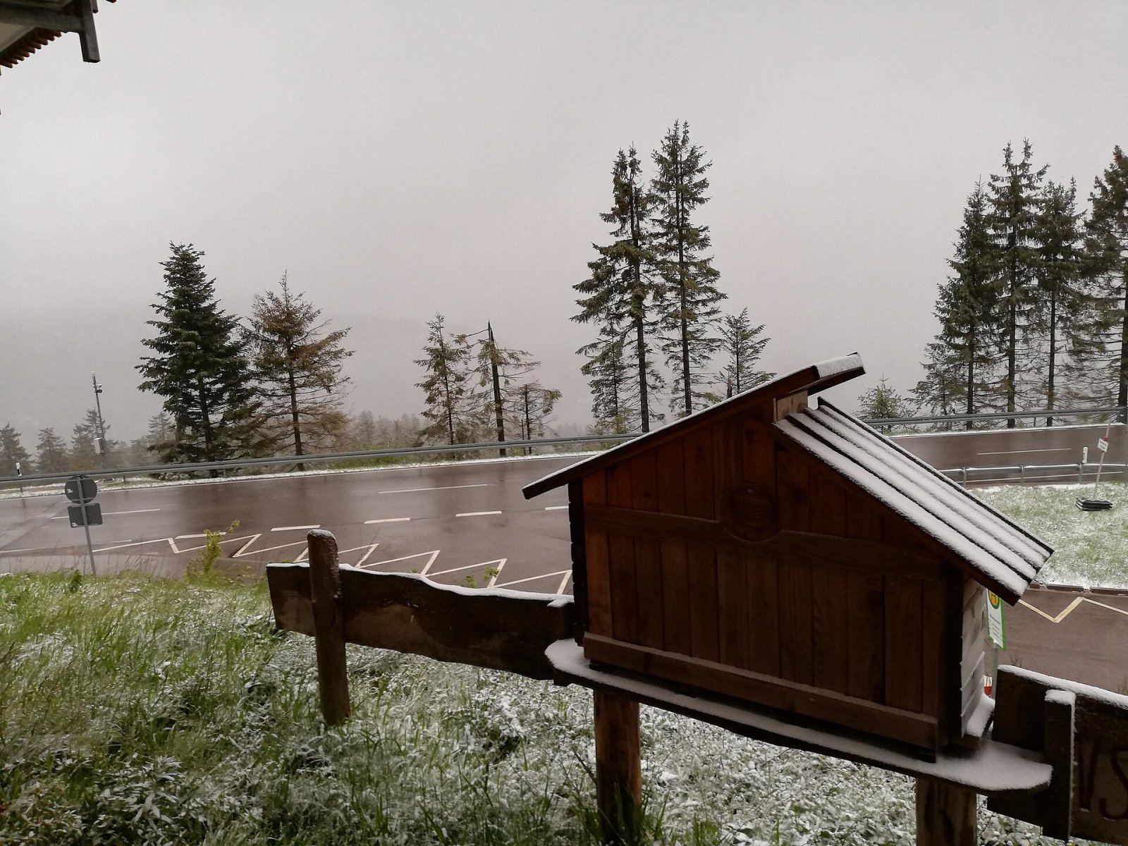 Mummelsee: Ein Naturparadies im Herzen des Schwarzwalds - Seebach | Secret World Trip Planner