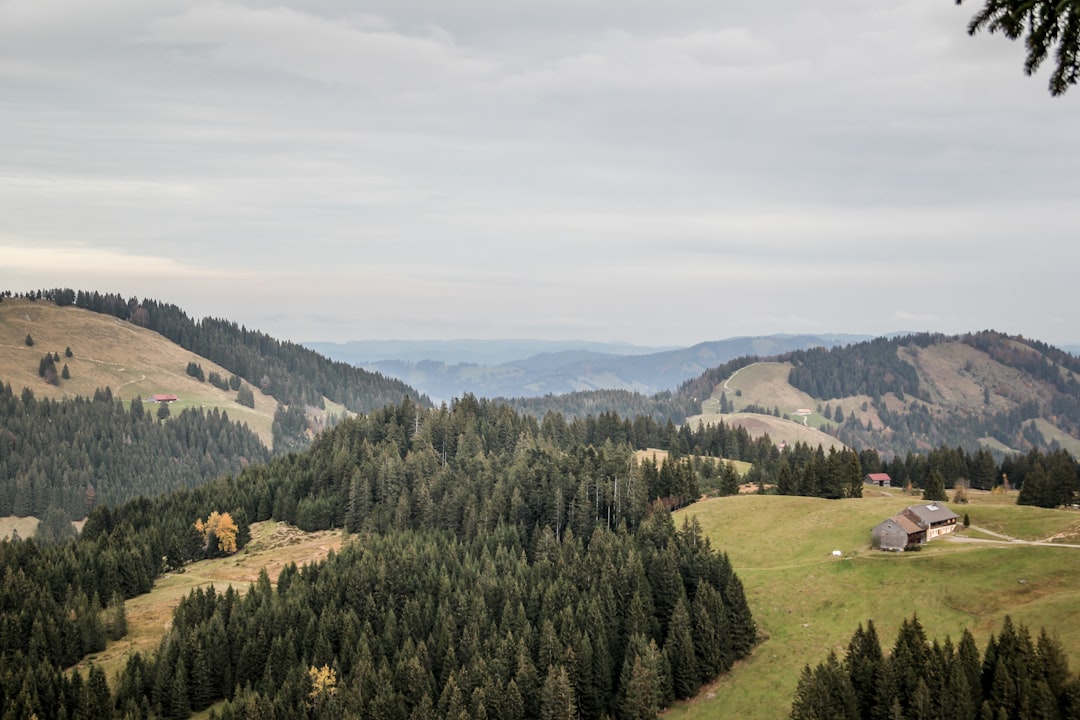 Descubra a Serra Rennsteig: um trilho entre natureza e história na Turíngia - Neuhaus am Rennweg | Secret World Trip Planner