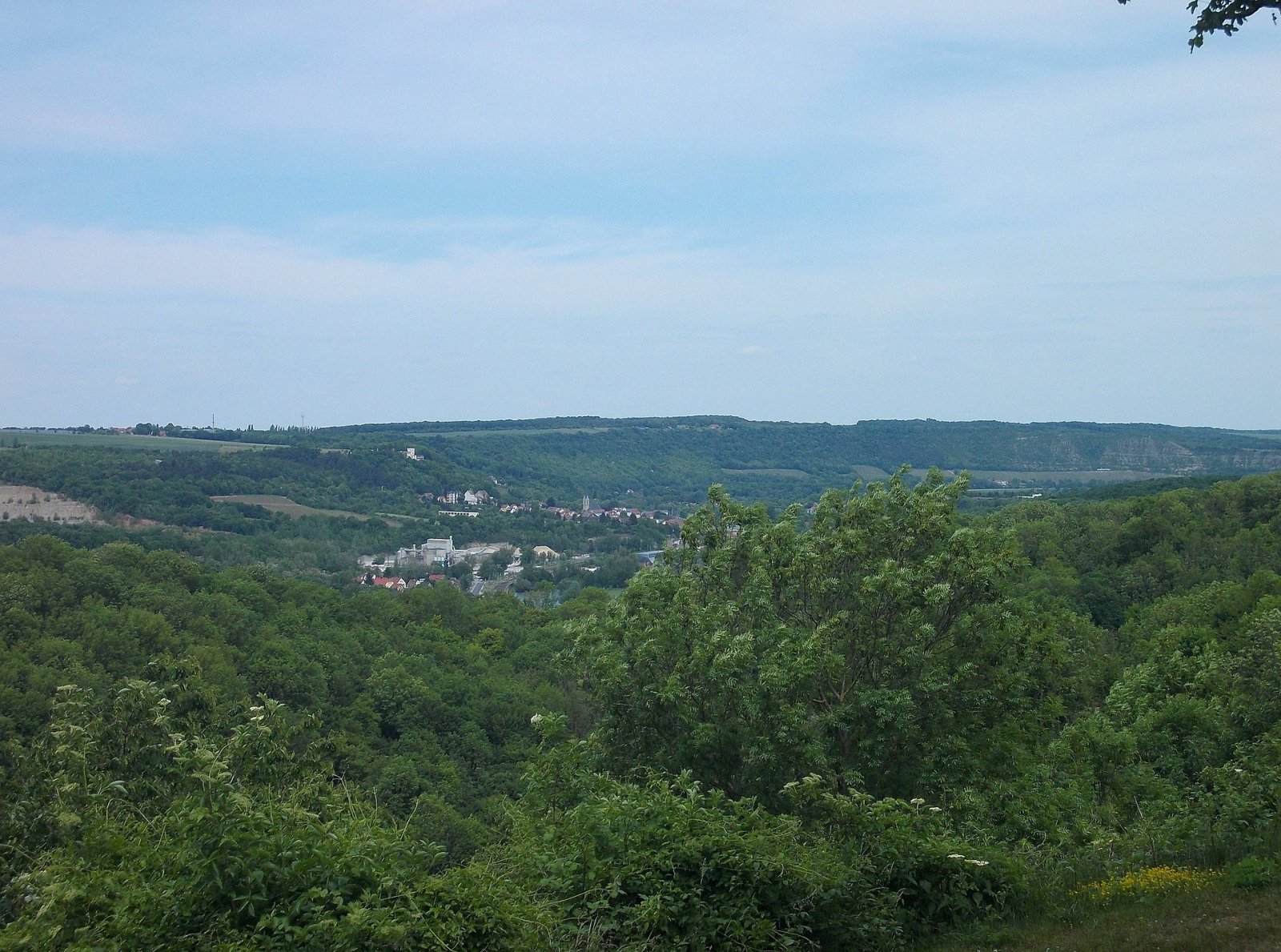 Descubre el Valle de Saale-Unstrut: Naturaleza e Historia en Naumburg - Naumburg (Saale) | Secret World Trip Planner