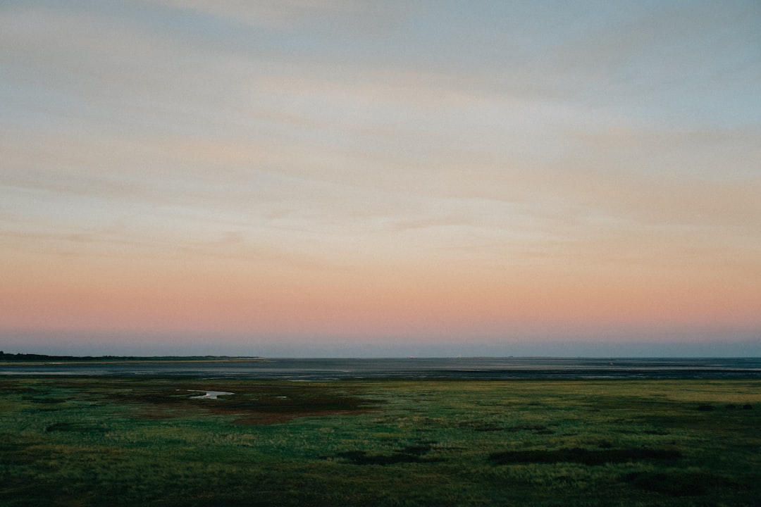 Descubra o Parque Nacional Wattenmeer em Cuxhaven: um tesouro natural - Cuxhaven | Secret World Trip Planner