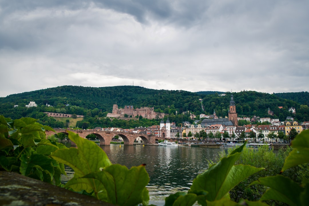 Entdecken Sie die Heidelberger Altstadt: ein historisches Juwel in Deutschland - Heidelberg | Secret World Trip Planner
