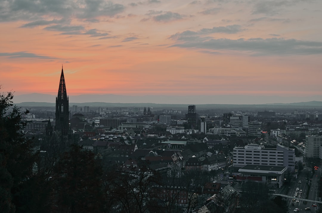 フライブルク・ミュンスターを発見：ドイツの文化的宝石 - Freiburg im Breisgau | Secret World Trip Planner
