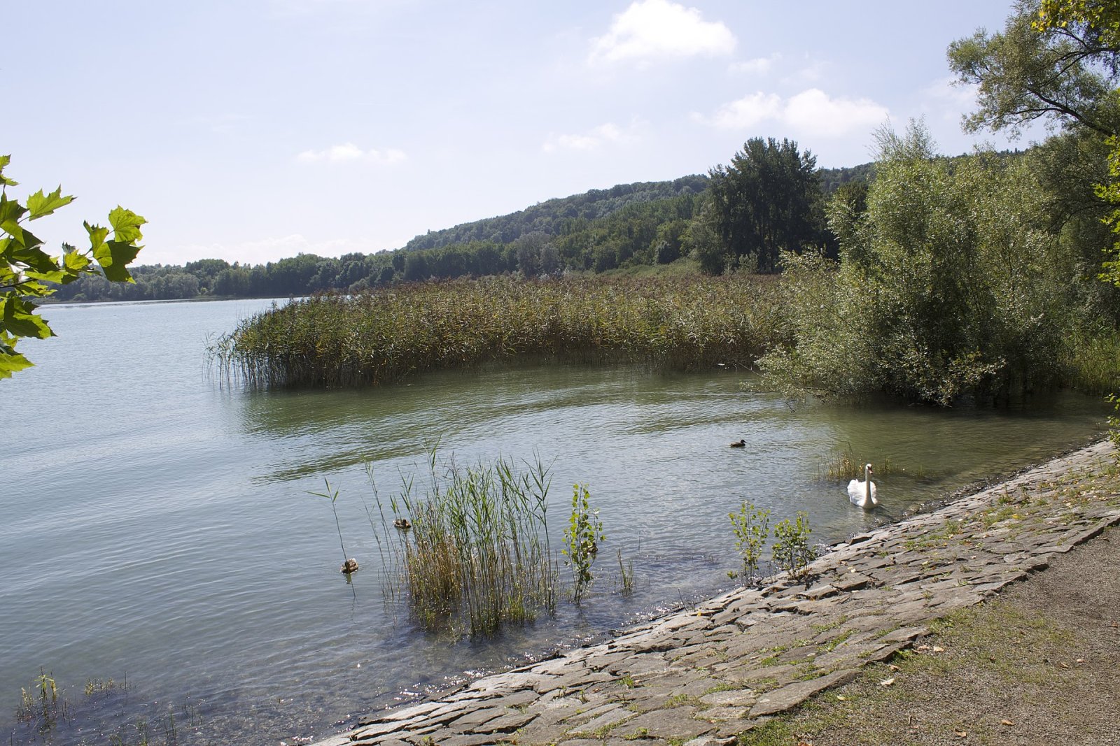 Descubra a Ilha de Mainau: Um Paraíso Natural no Lago de Constança - Konstanz | Secret World Trip Planner