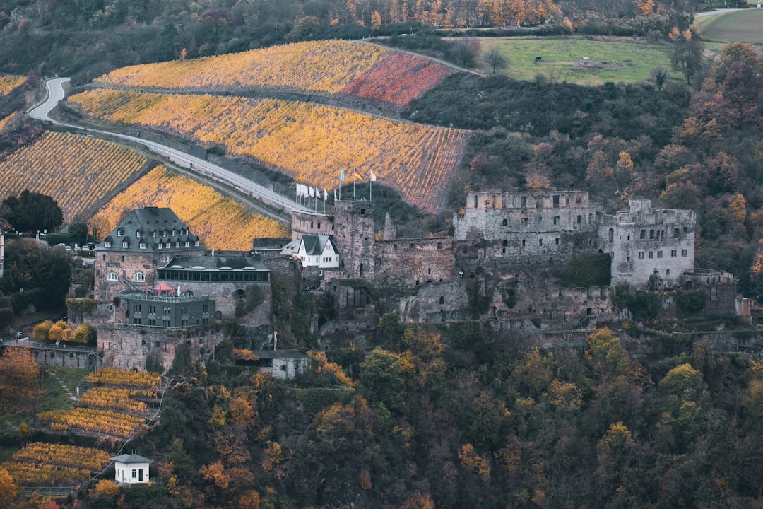 Discover Rheinfels Castle: History and Beauty on the Rhine - Sankt Goar | Secret World Trip Planner