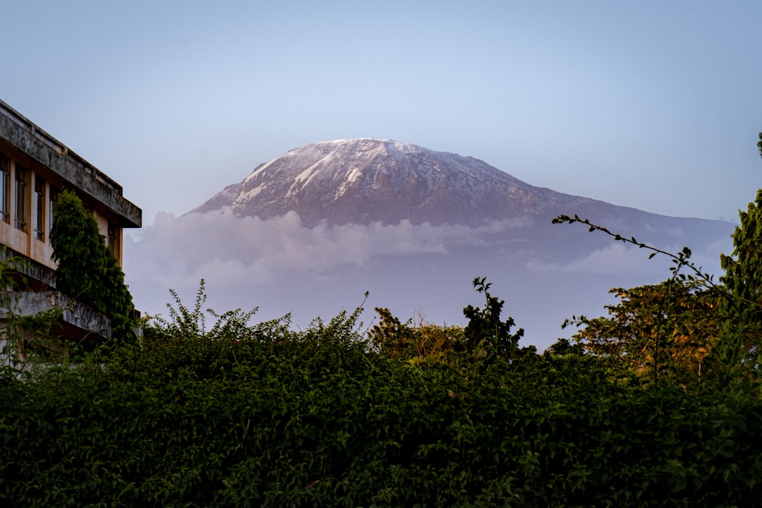 Caminhos Deslumbrantes em Moshi: Aventuras no Kilimanjaro - Moshi | Secret World Trip Planner
