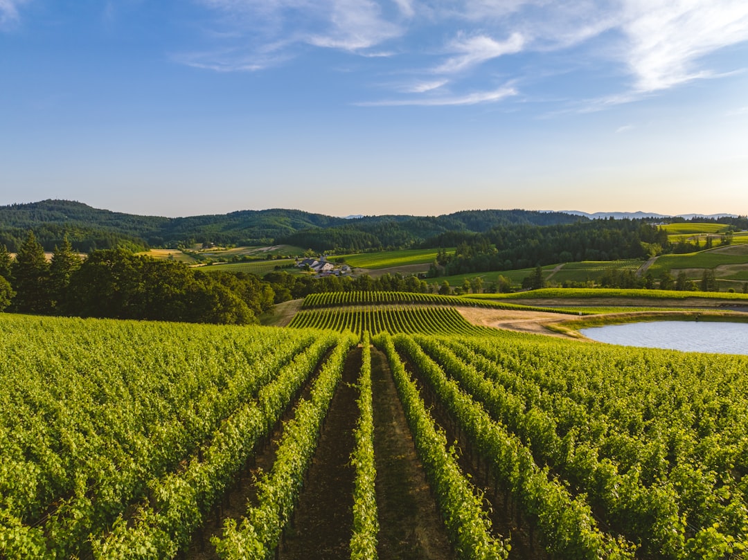 Willamette Valley: Das Paradies für Pinot Noir - Willamette Valley | Secret World Trip Planner