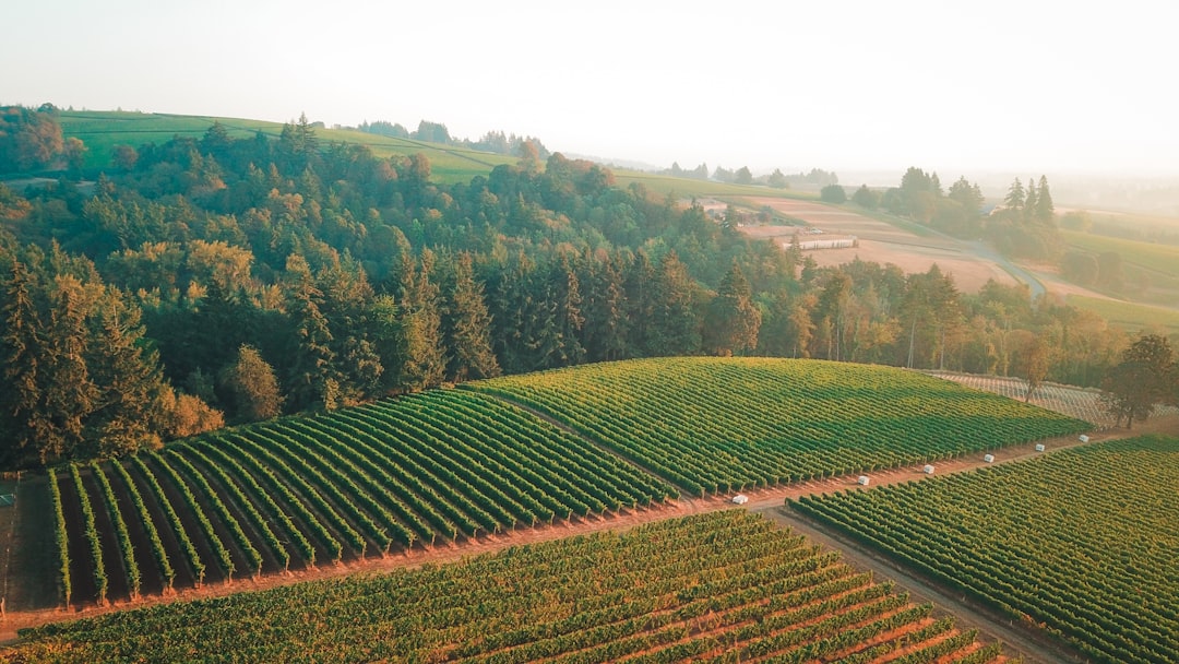 Willamette Valley : Le Paradis du Pinot Noir - Willamette Valley | Secret World Trip Planner