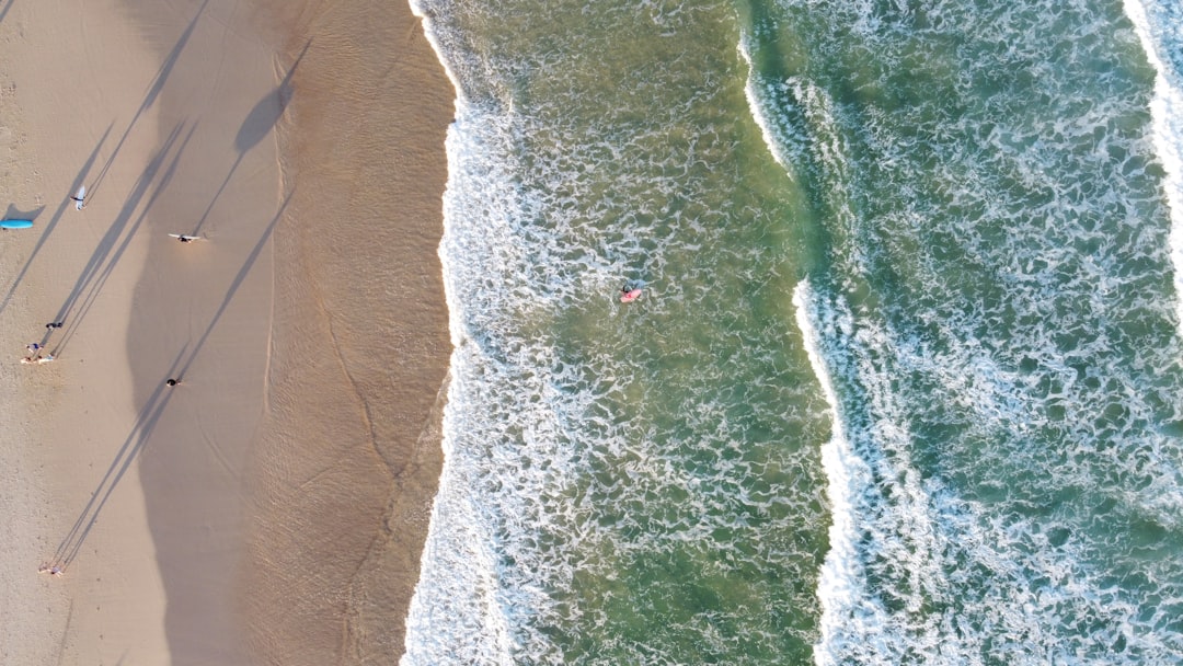 Escultura en el Mar: Arte a lo Largo de Bondi - Bondi Beach Nuovo Galles del Sud 2026 | Secret World Trip Planner
