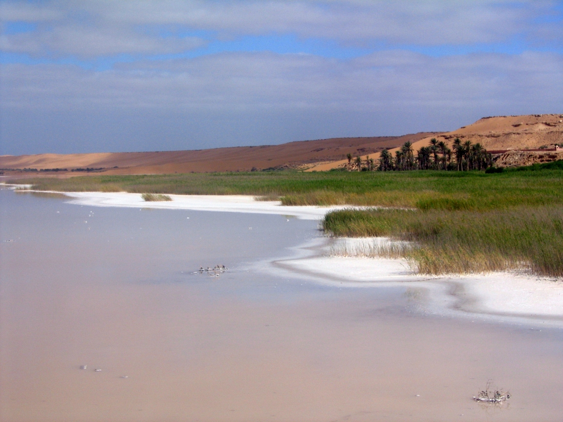Découvrez Tan Tan Plage : le joyau côtier du Maroc - FMX8+CF3 | Secret World Trip Planner